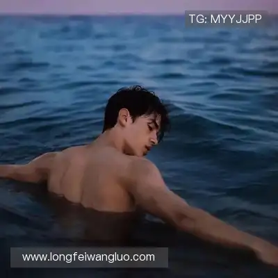 陆冶书